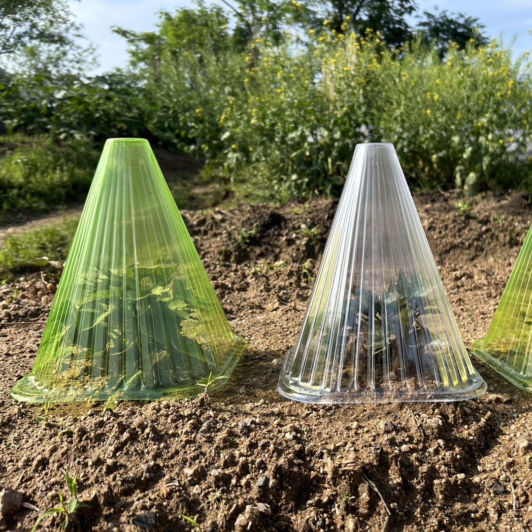 Плантенхуд набор из 20/30/50 защищает от мороза и слизней, 22x19x19 см, прозрачный.