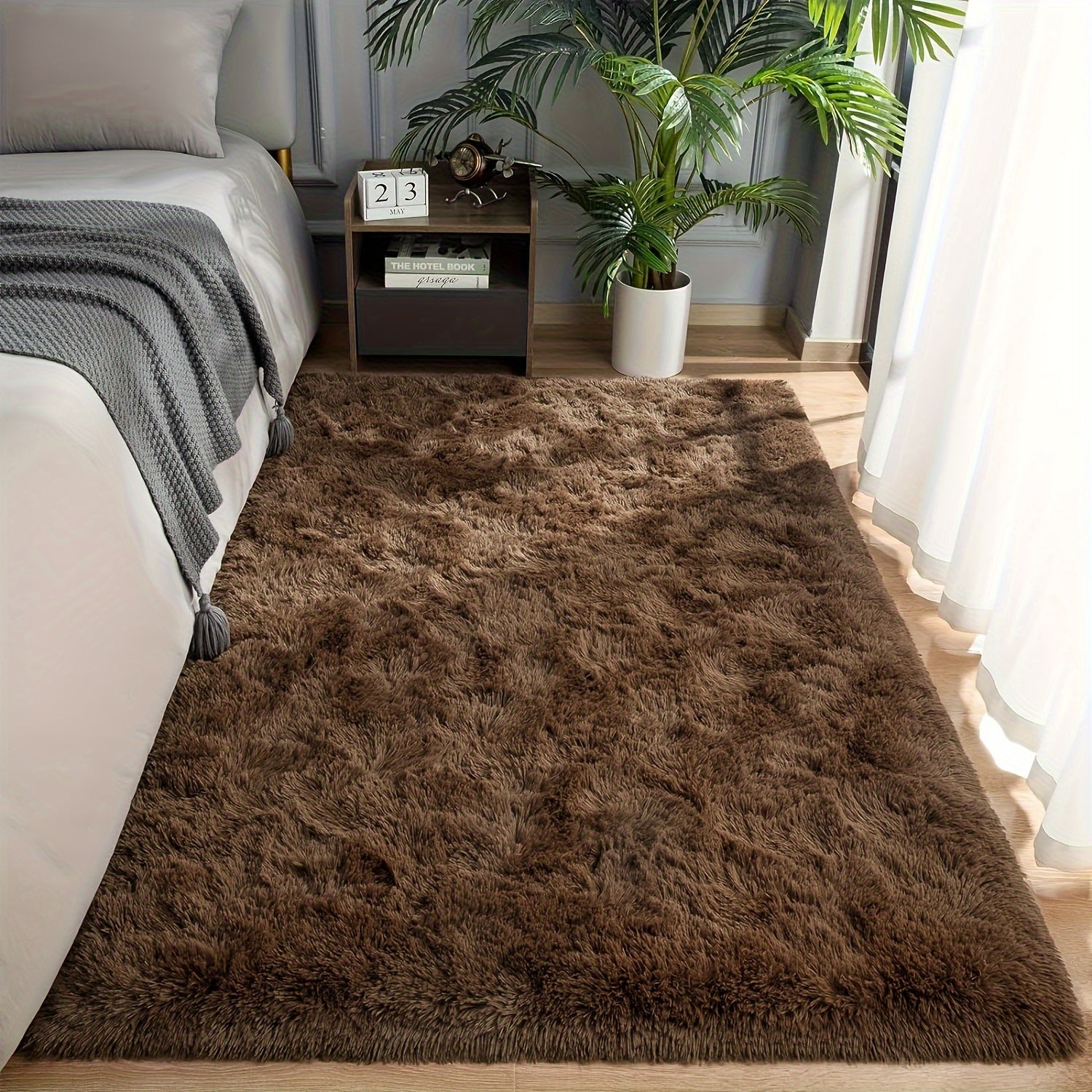 Soft Shaggy Carpet for Living Room Bedroom Hallway, Easy to Maintain