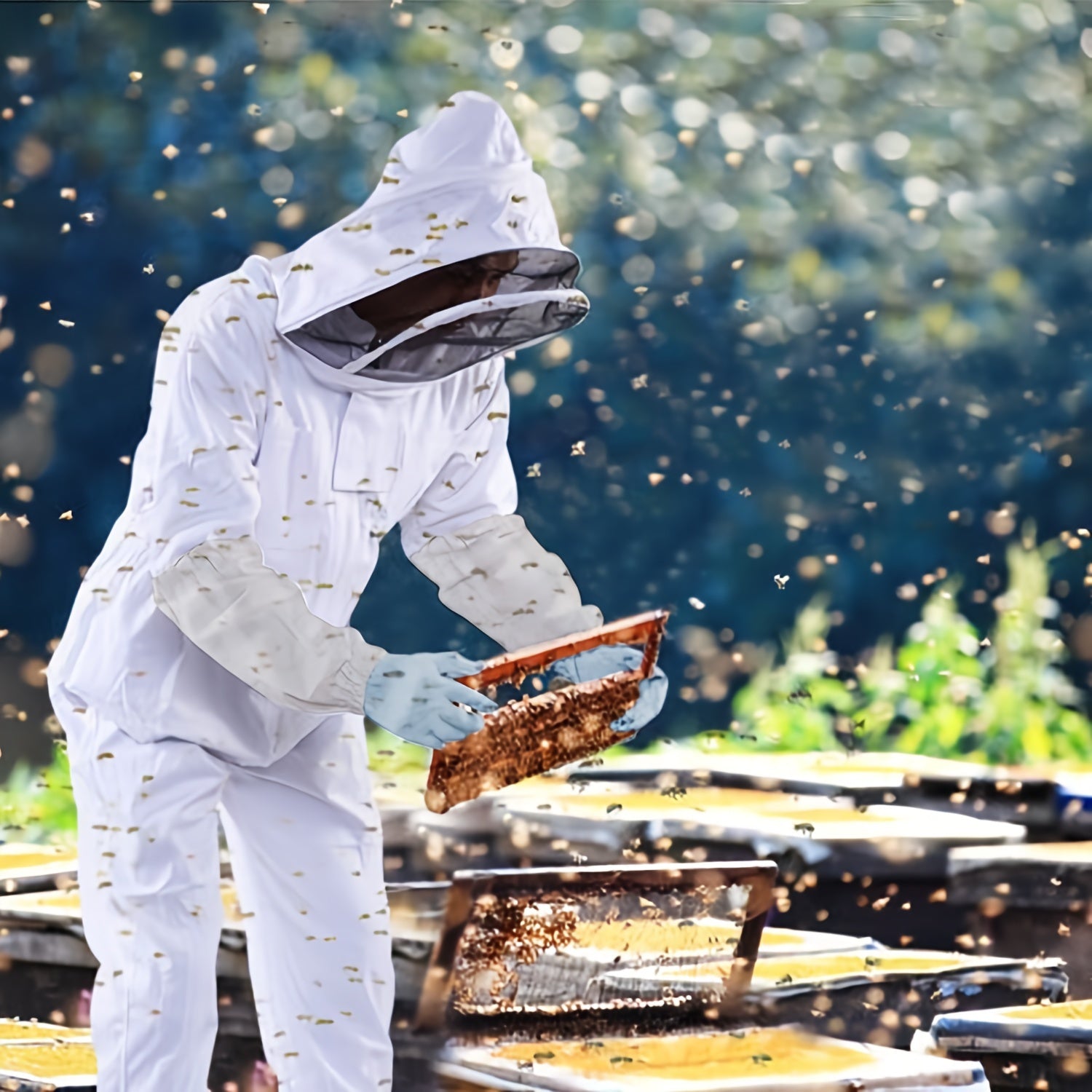 Durable Full-Body Beekeeping Suit with Veil Hood for Urban Farming