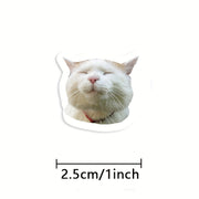 500 Забавных наклеек с котами Глянцевые неровные формы для подарков и украшения