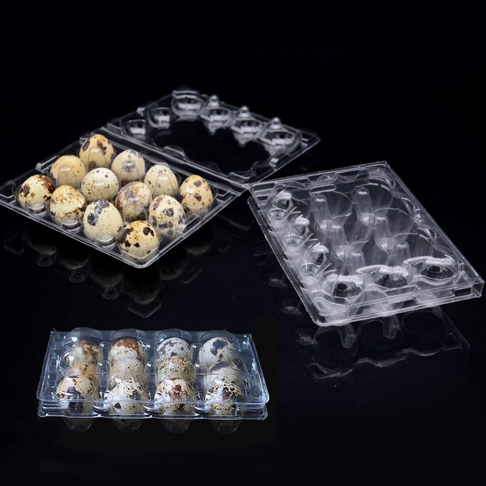 25 Pack Clear Plastic Quail Egg Cartons with Lids for Small Eggs