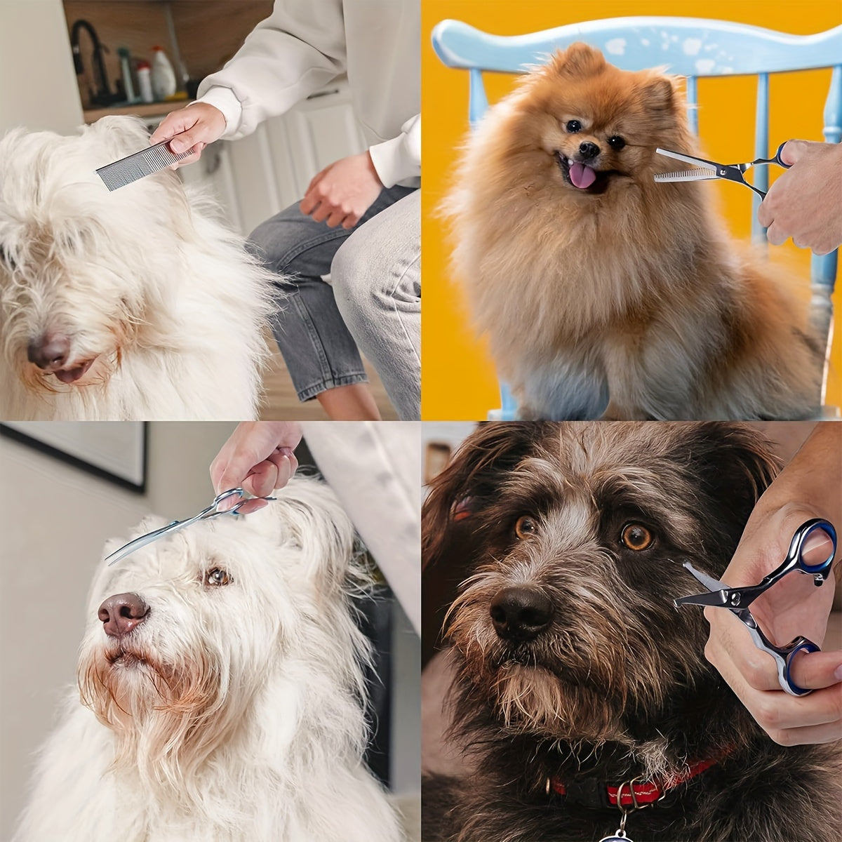 6-Piece Stainless Steel Pet Grooming Scissors Set for Dogs and Cats