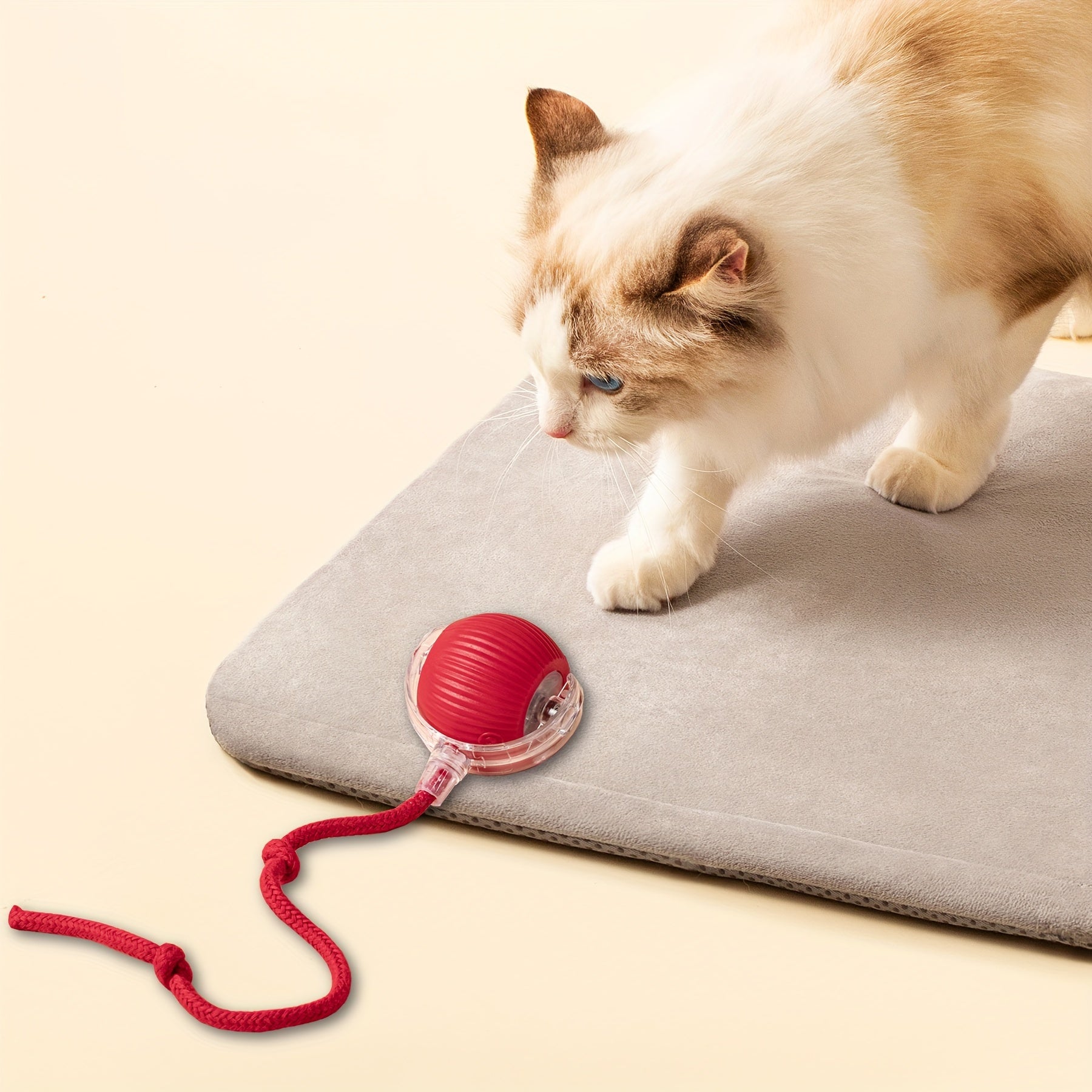 USB Rechargeable Cat Toy with Long Tail Interactive Ball for All Breeds