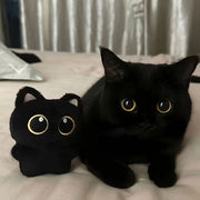 2-Pack Black Cat Plush Toys for Small Dogs Interactive Squeaky Durable Pet Toys