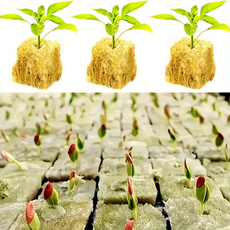 Hydroponic Rock Wool Cubes 2.49cm Seed Starter Plugs 50 Acupoints 500/1000 Pack