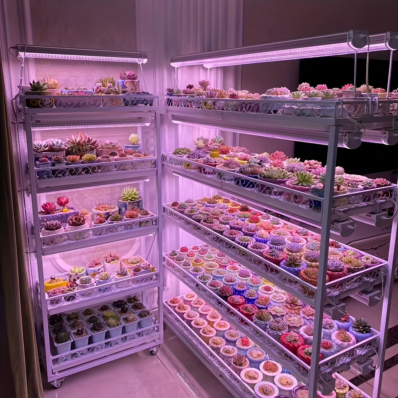 Ichki bog'dorchilik uchun USB quvvatlangan LED chiroq lentasi, o'sishni rag'batlantiradi va gullash davrini uzaytiradi, turli xil o'simliklar uchun ideal.