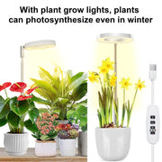 Adjustable Full Spectrum LED Plant Grow Light with Timer and USB Power for Indoor Plants