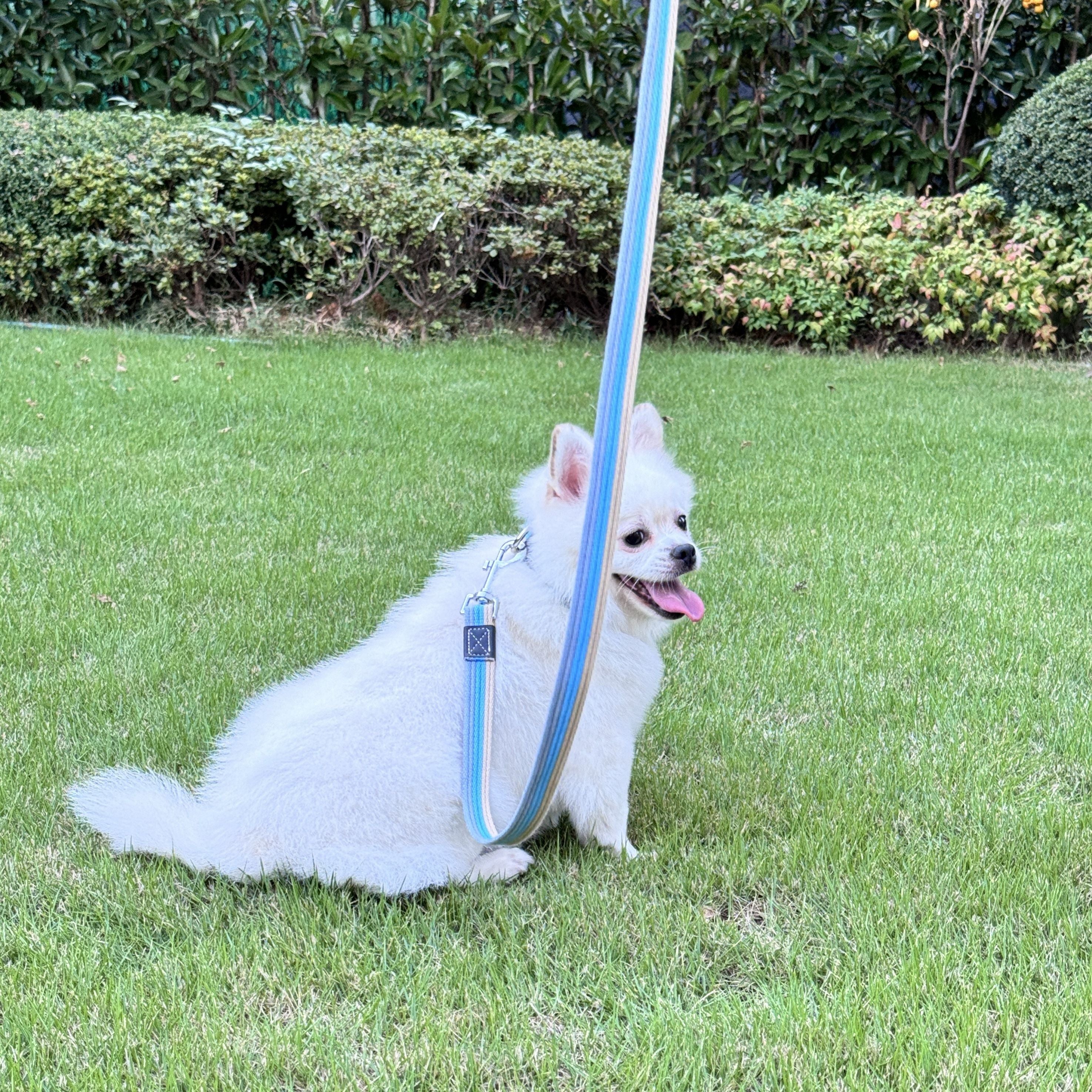 Прочная полосатая собачья поводка из полиэстера с нескользящей ручкой, тяжелого типа, для всех пород