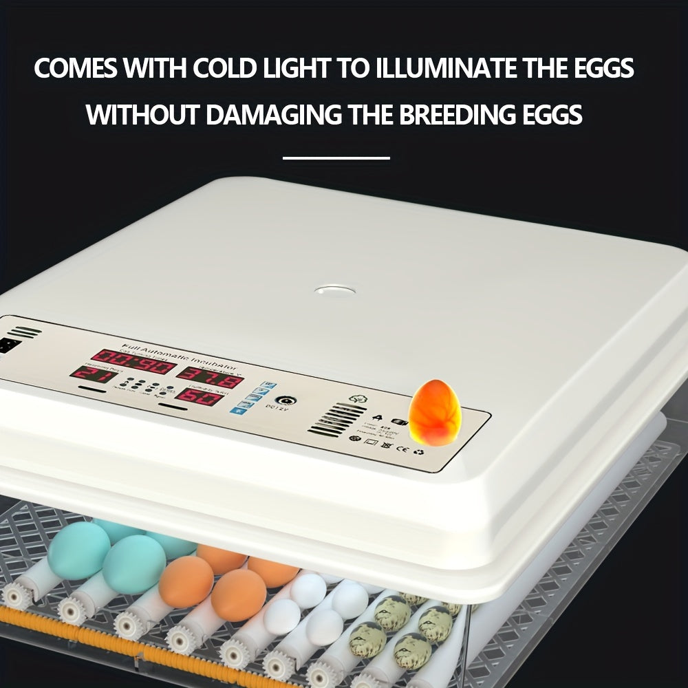 64-Egg Capacity Digital Egg Incubator with Automatic Turn and Temperature Control