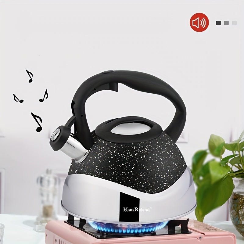 Hervidor de acero inoxidable de 3.0L con silbido para estufa de gas y cocina con llama abierta