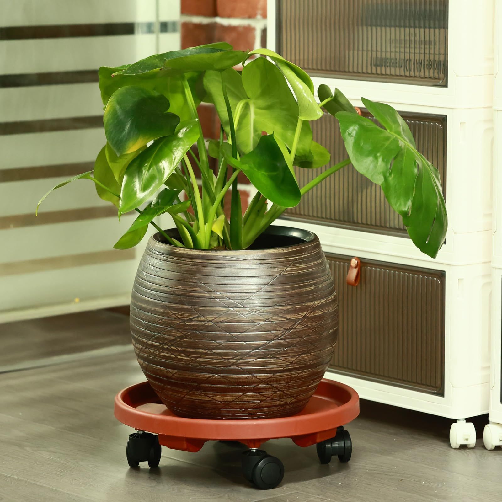 Round Plastic Flower Pot Tray with Wheels Indoor Outdoor Plant Stand Stable Easy to Move