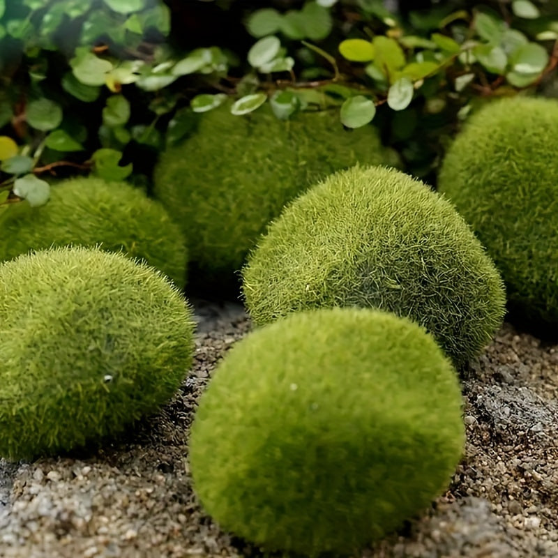 10 Pieces of Moss Green Miniature Garden Decor for Fairy Gardens, Aquariums, and Outdoor Spaces