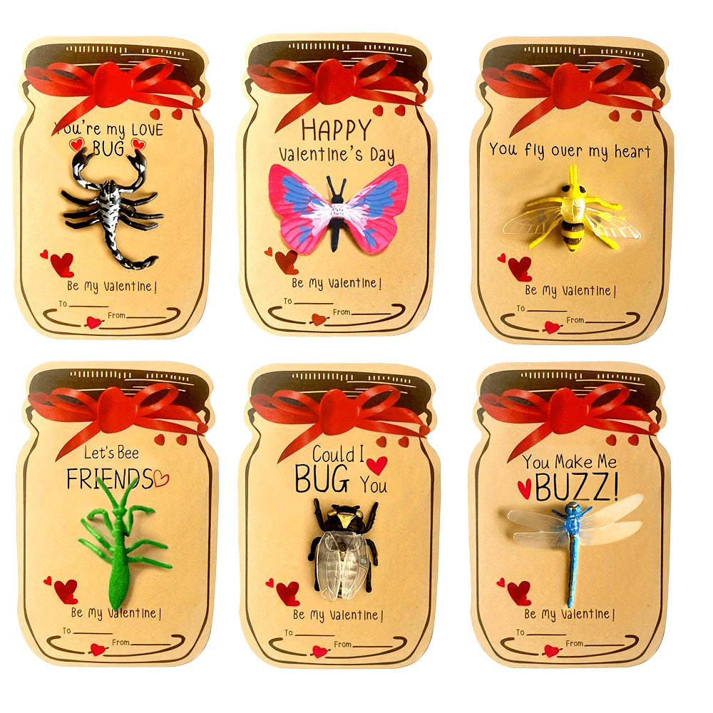 Kids Valentine's Day Cards Set of 12 with Insect Toys and Exchange Cards for Classroom Gifts