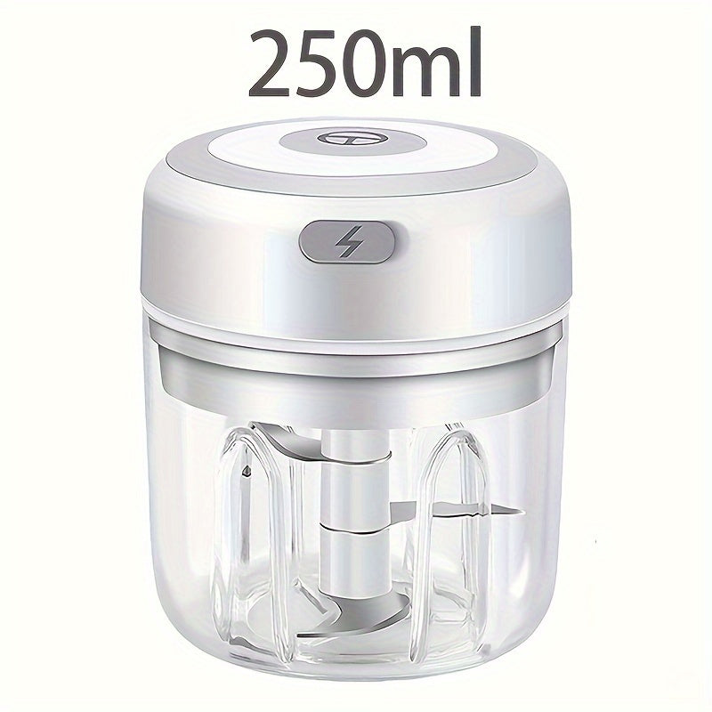 Electric Mini Garlic Chopper 100/250ml USB Meat Grinder Crushes Ginger Vegetables