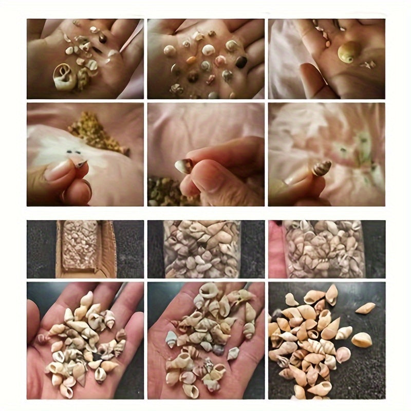 Assorted Sizes 0.6cm-1.2cm Natural Conch Shells for Aquarium Fish Tank Decorations 100/300/600 Pieces