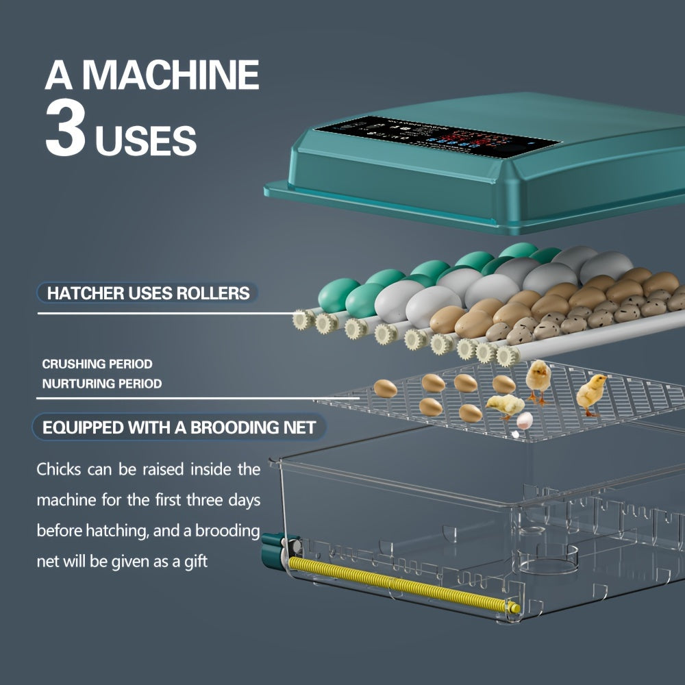 36-Egg Teal Digital Inkubator bilan sozlanadigan harorat, impulsli isitish, sovuq nurni chiqish