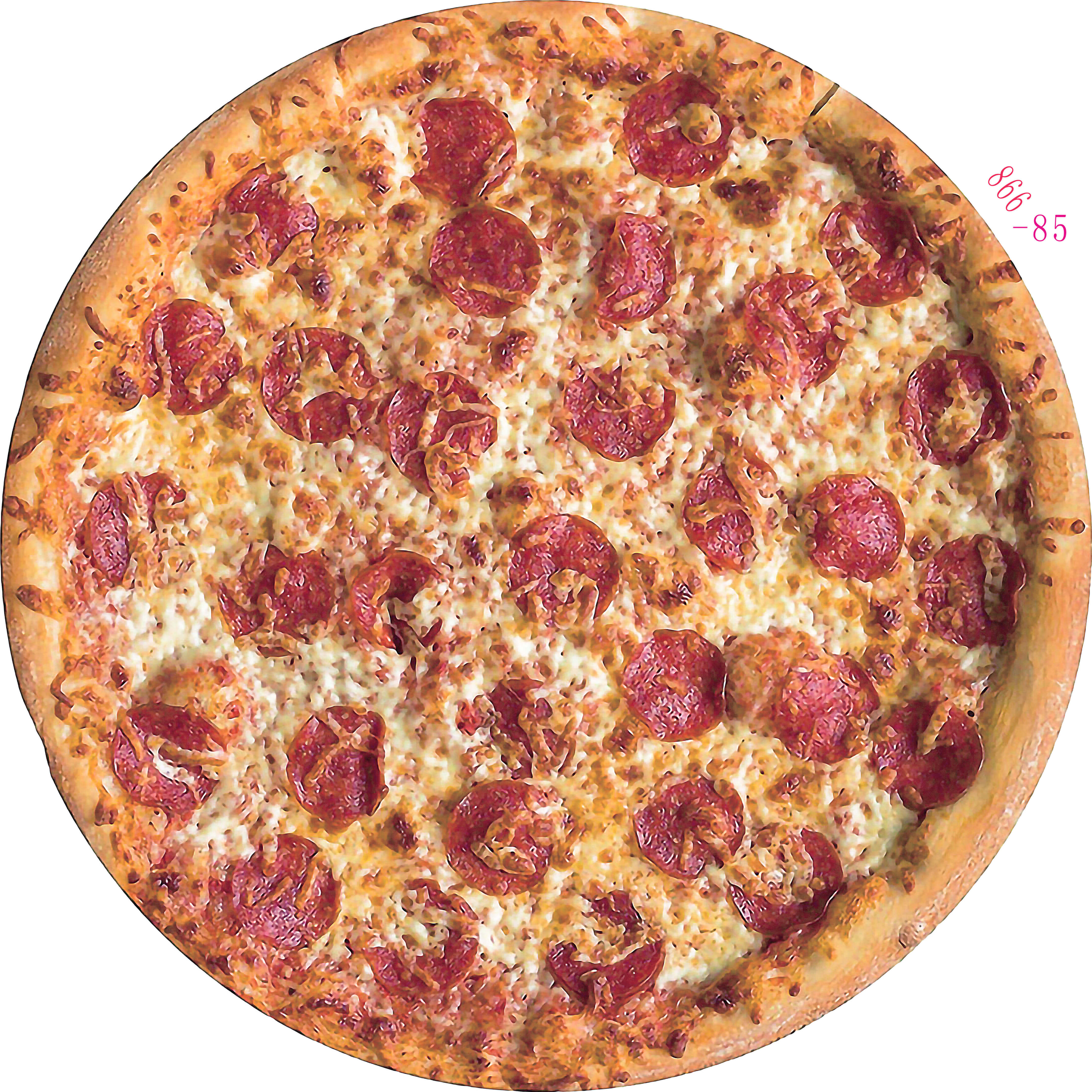 Manta de franela con patrón de pizza para sofá y cama, cálida y acogedora