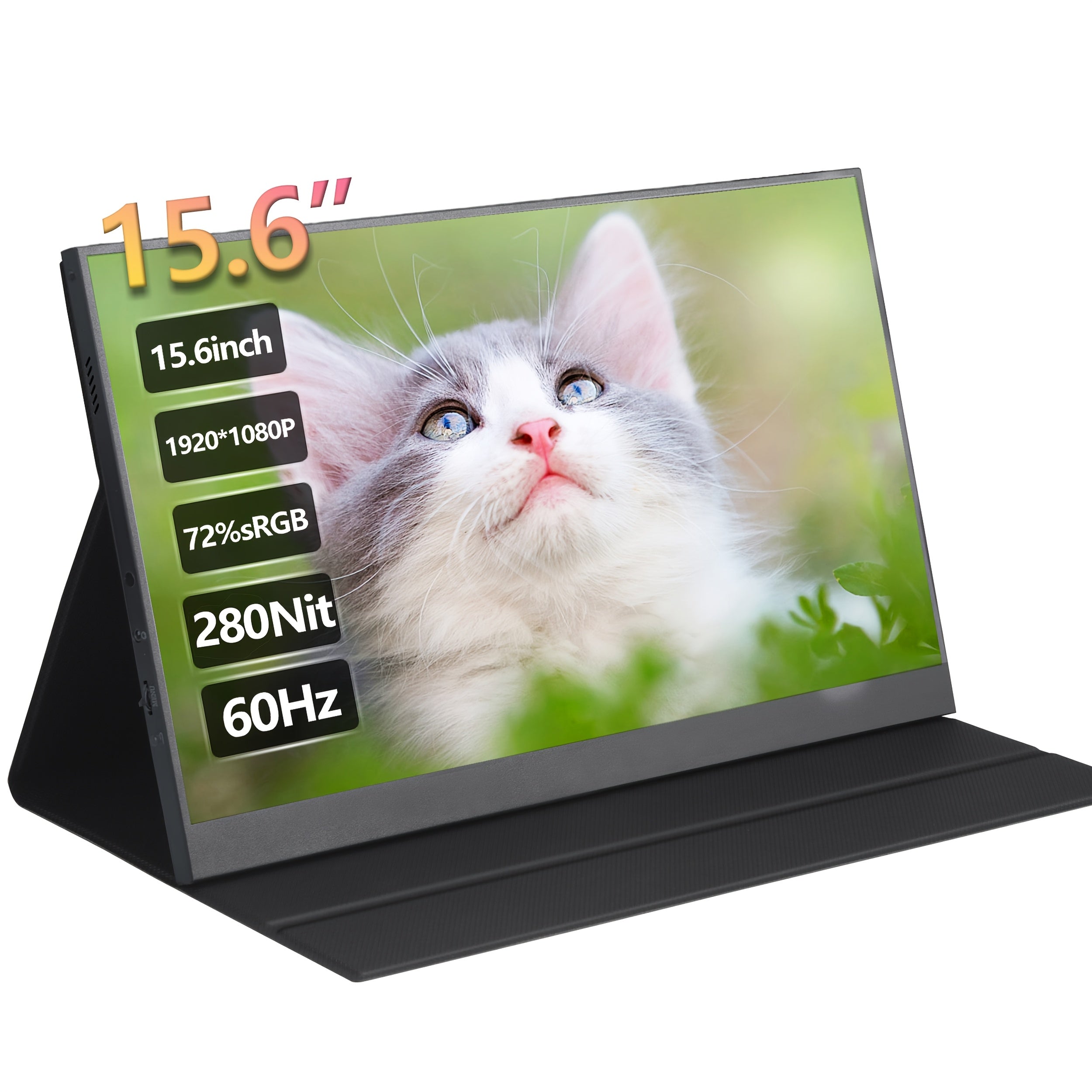15.6 Inch 1080P FHD Portable Monitor with USB-C Dual Speakers Matte Screen