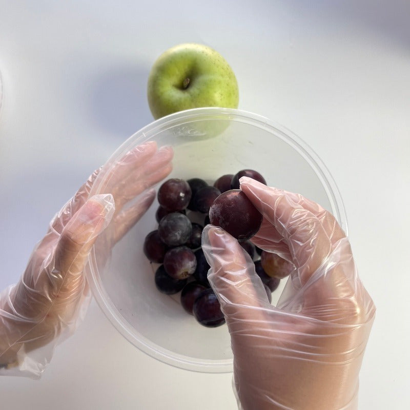 Single-Use TPE Gloves Food Handling Cleaning Home Hygiene Disposable Plastic Hand Protection