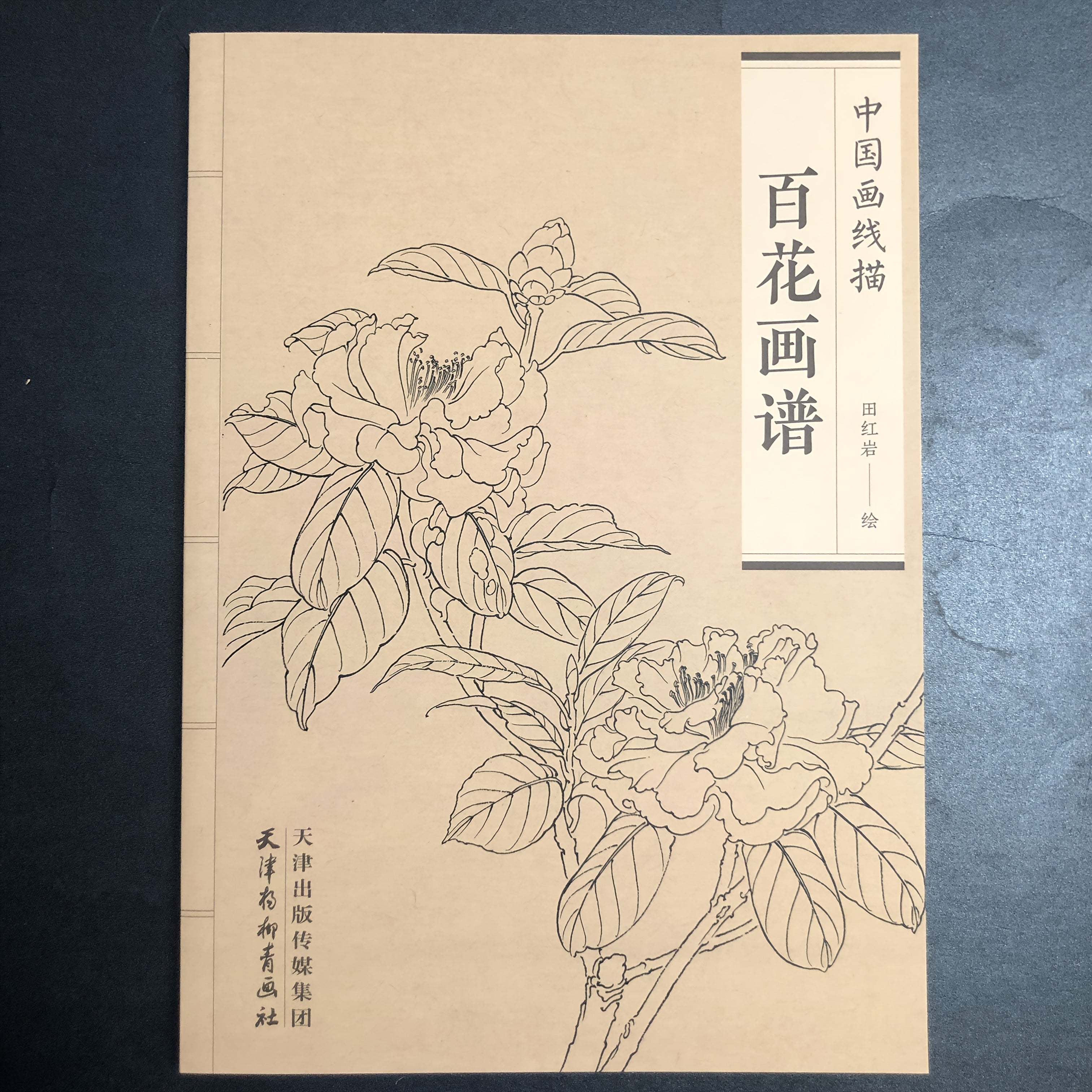 Traditional Chinese Ink Floral Painting Guide Paperback Art Book