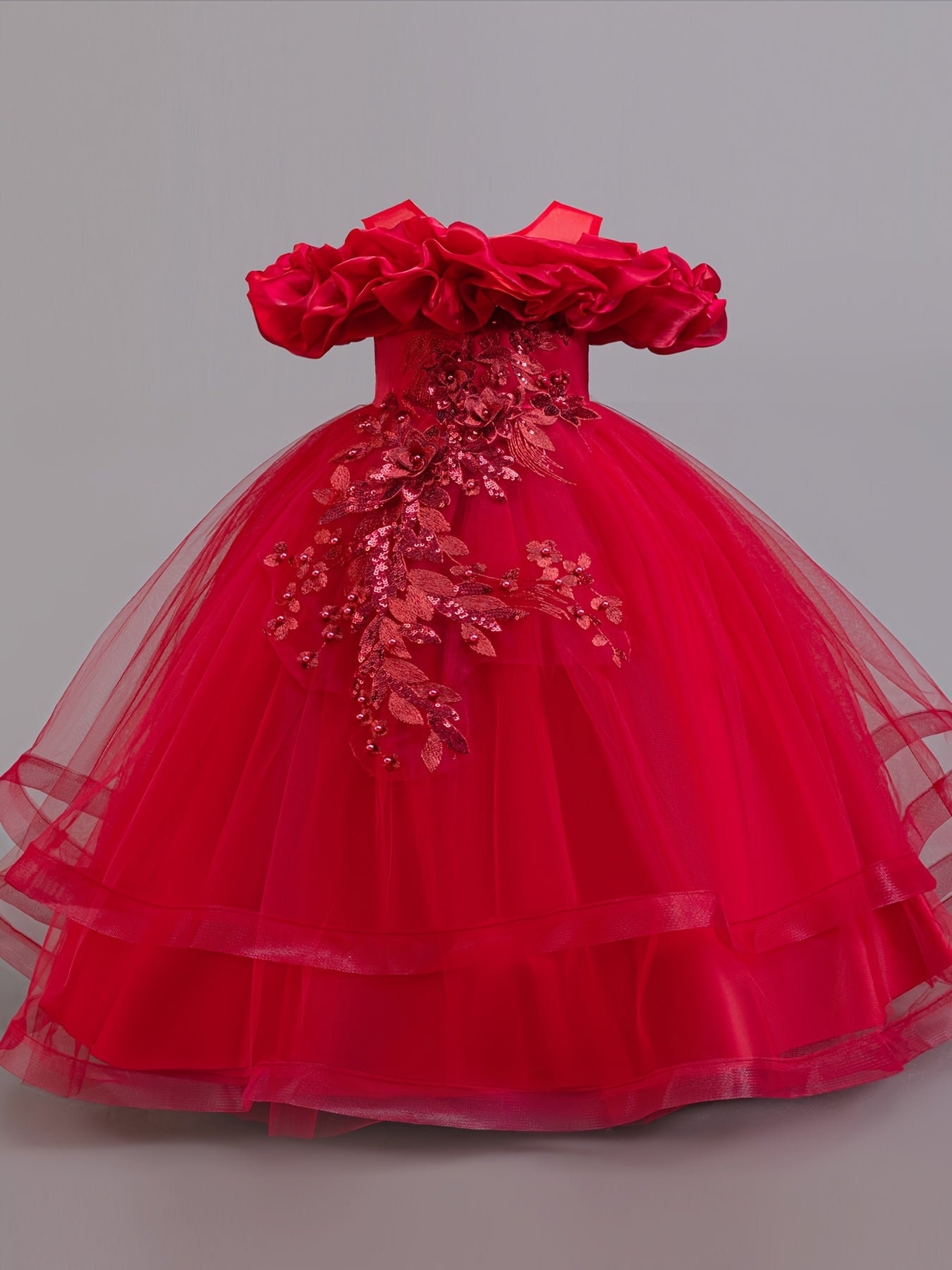 Girls Embroidered Mesh Ball Gown Dress for Parties and Holidays Long Length