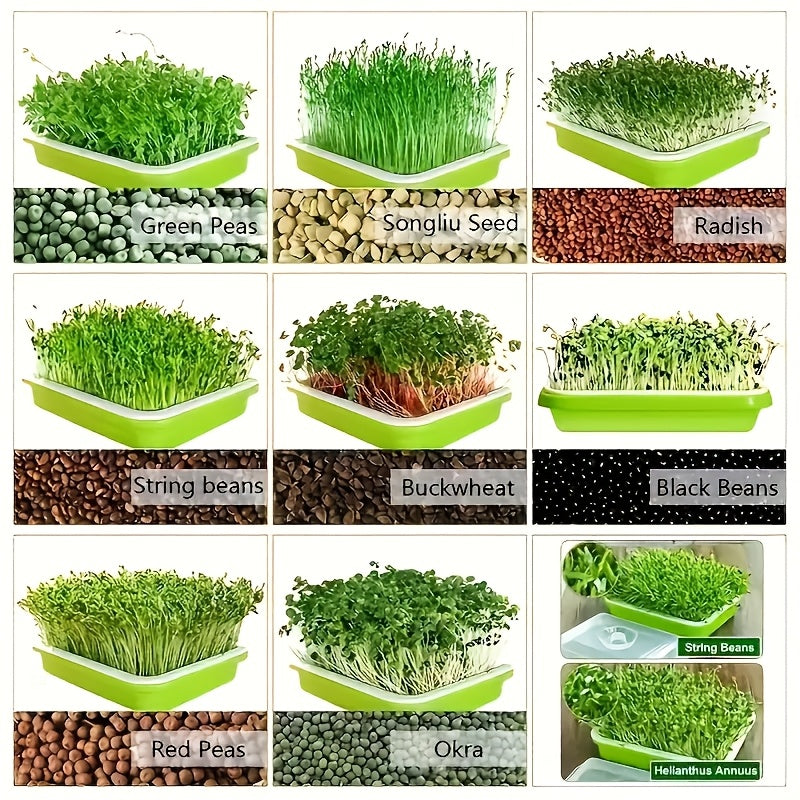 Seed Germination Tray Large Capacity Micro-Green Seedling Kit Soilless for Beans Wheat Grass