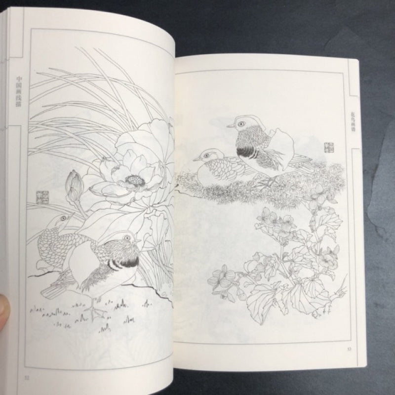 Chinese Flower and Bird Painting Manual with Line Drawings Art Book