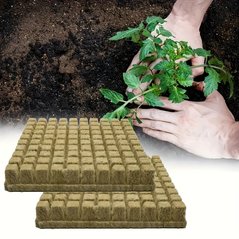 Mini Compressed Hydroponic Rock Cubes for Seed Germination and Plant Growth