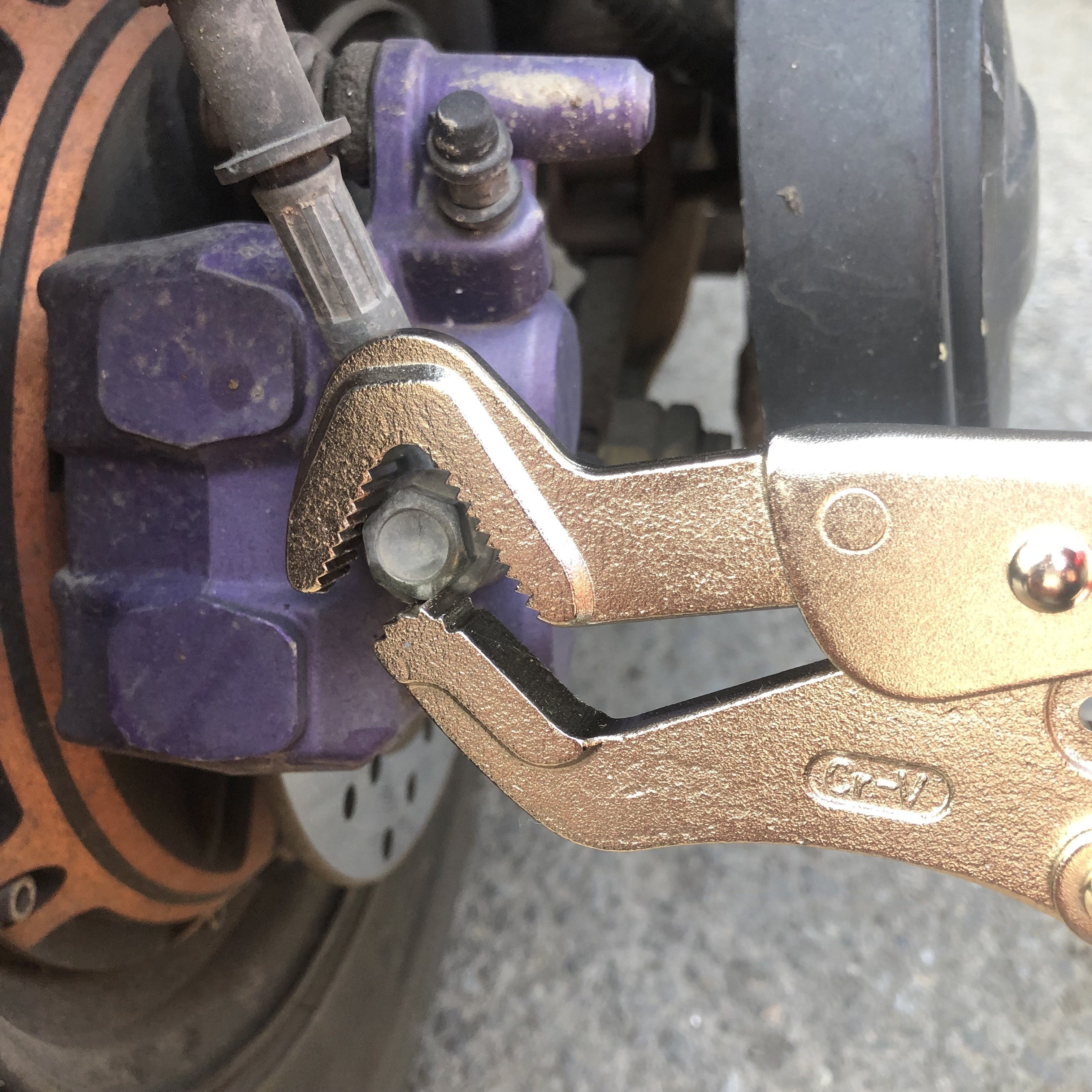 Ajustable pinza de presión con bloqueo para pico de loro, acero al carbono, agarre antideslizante, sujetador y tubería