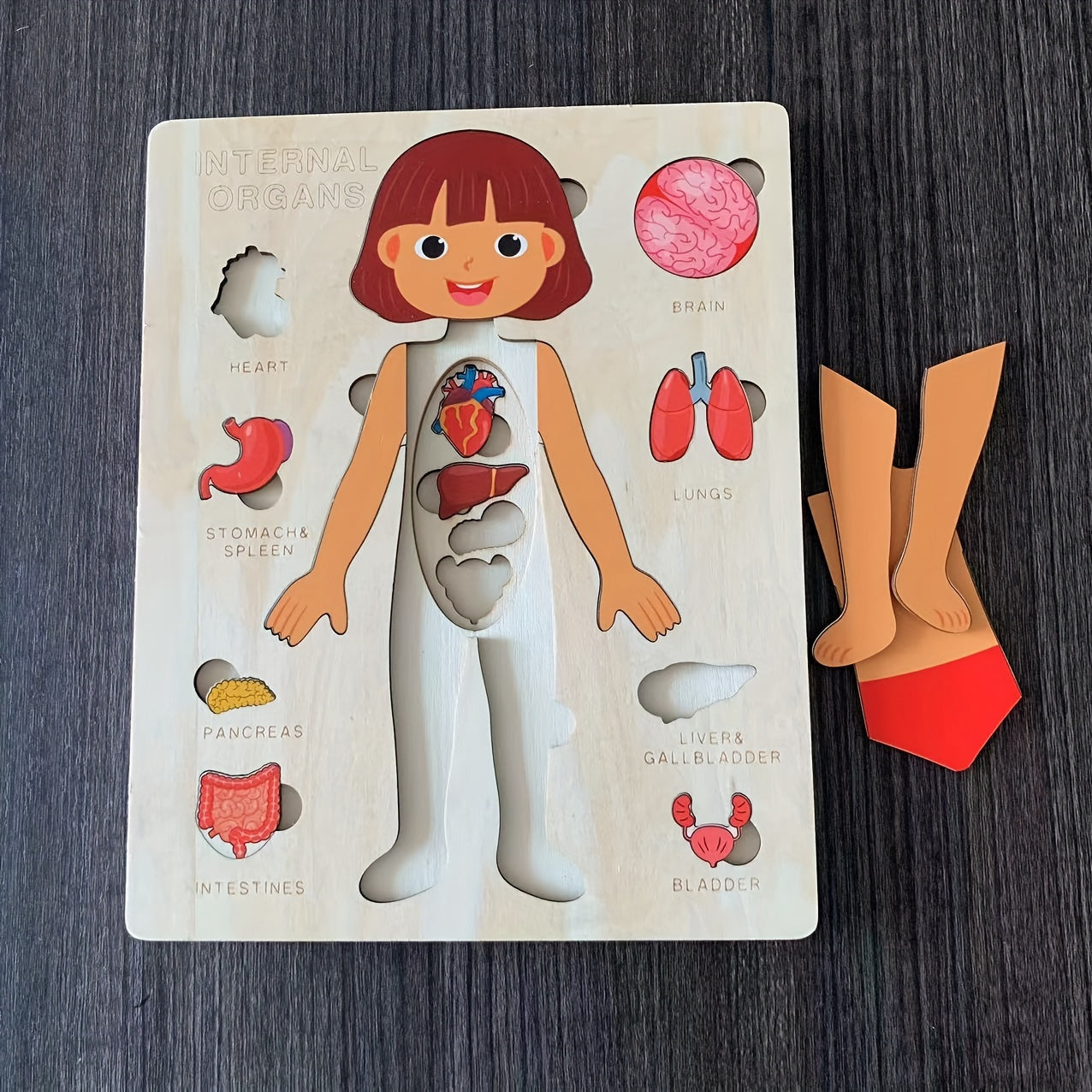 Children's Wooden Human Body Puzzle Educational Toy for Early Childhood Development