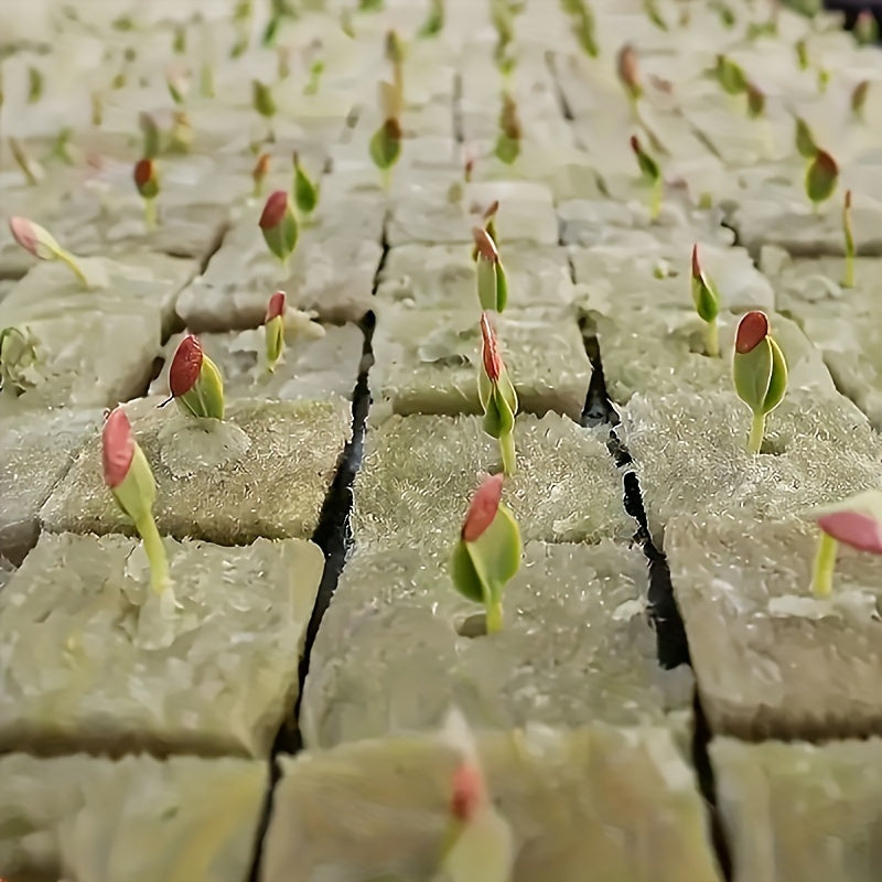 Hydroponic Rock Wool Cubes 2.49cm Seed Starter Plugs 50 Acupoints 500/1000 Pack