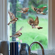 Sparrow Window Decals Easy-to-Apply Decorative Art for Home or Office