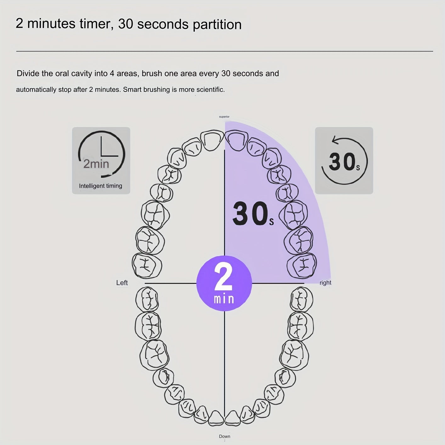 Adult Rechargeable Electric Toothbrush with 8 Brush Heads and Travel Case