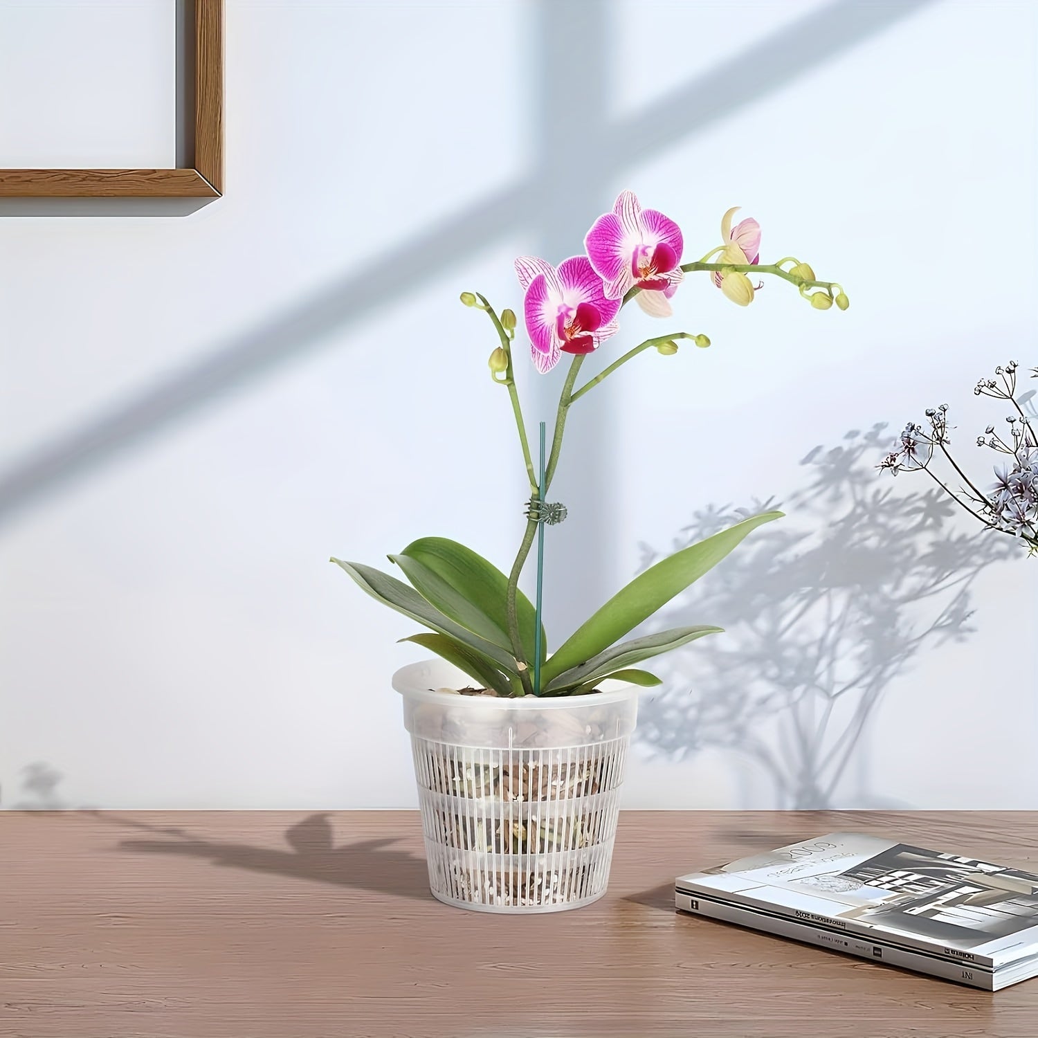 4 dona shaffof plastmassa orkide idishlari 16cm 19cm drenaj teshiklari bilan ichki va tashqi foydalanish uchun