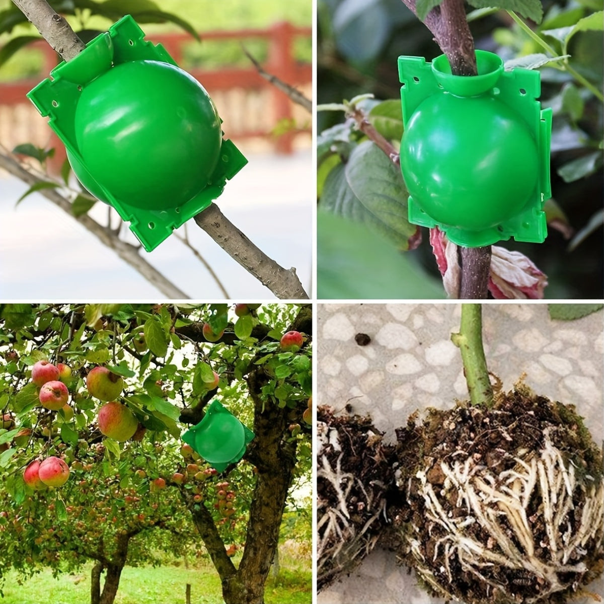 Reusable Plant Root Balls Kit for Grafting Roses and Garden Plants