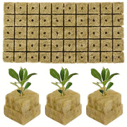 Pack of 100 Square Soilless Seedling Trays for Plant Germination and Seedling Tools