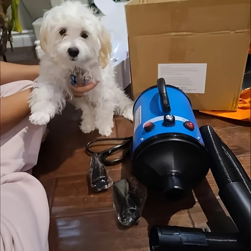 Aookupett Professional Dog Hair Dryer - O'zgaruvchan issiqlik va tezlik bilan yuqori quvvatli blowyer, aniq parvarishlash uchun 4 ta nozzle bilan birga.