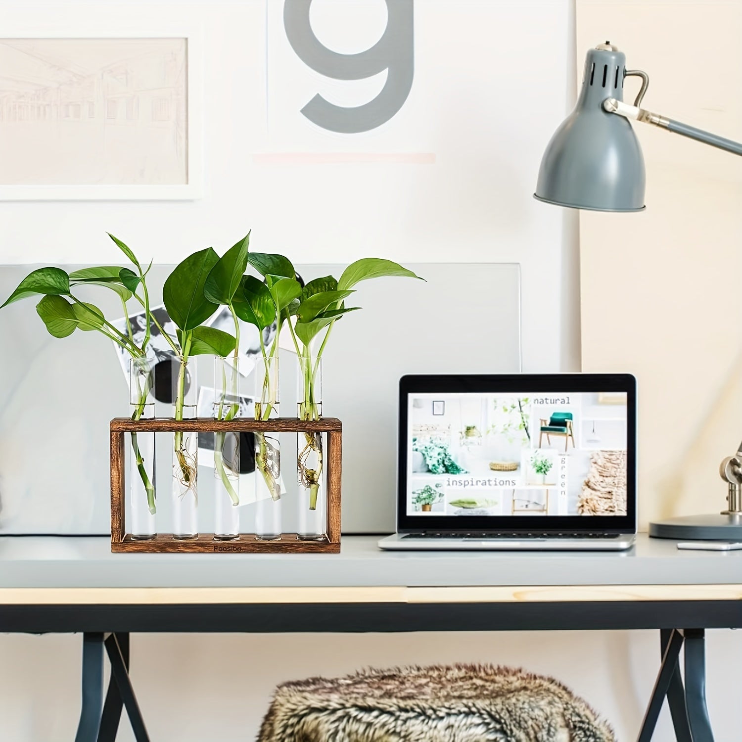 Glass Plant Container with Wooden Stand and Test Tubes for Hydroponic Indoor Gardening