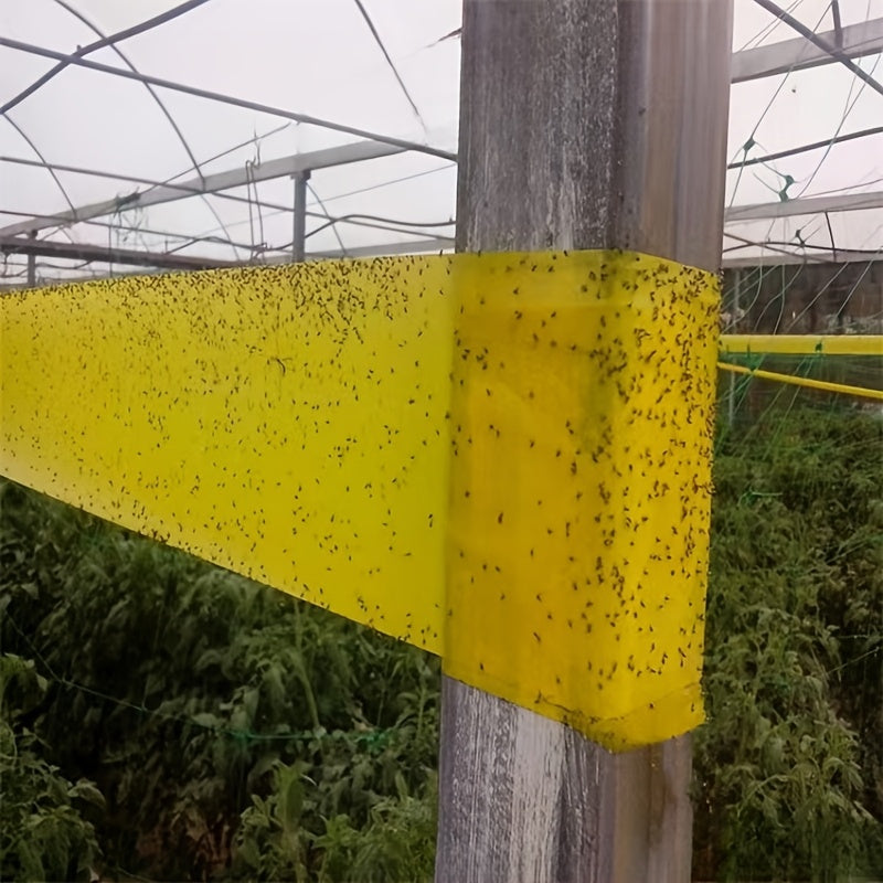 Dual-Sided Insect Fly Catcher Tape Yellow and Blue Waterproof Sunproof Pest Control