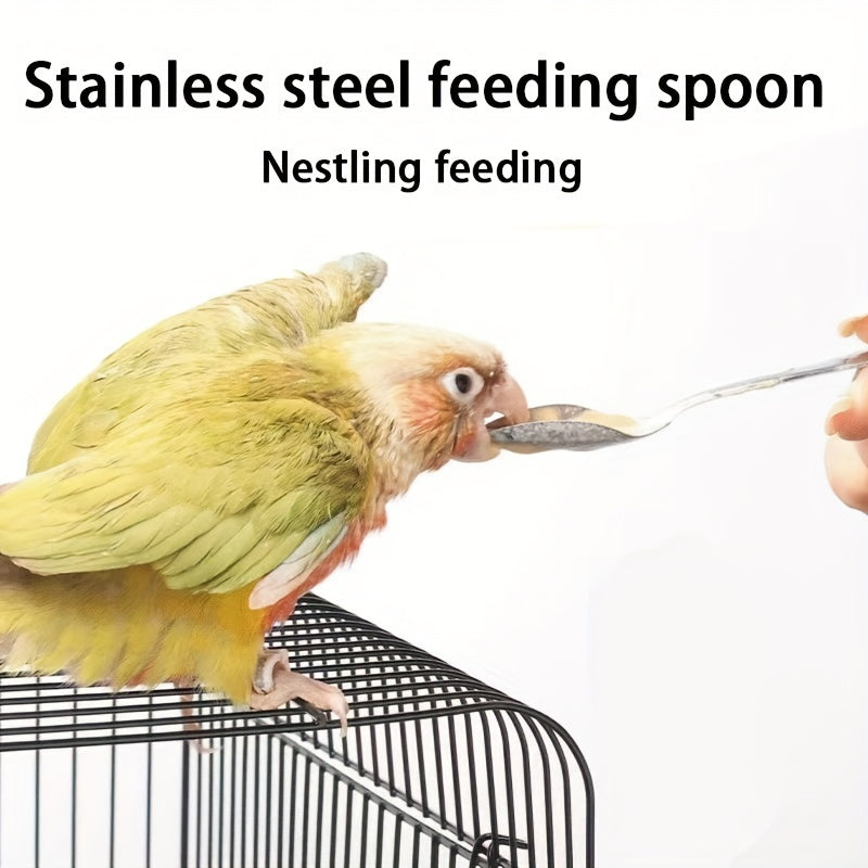 Bird Feeding Set for Young Tiger Peony Chicks Stainless Steel Syringe Measuring Cup Spoon