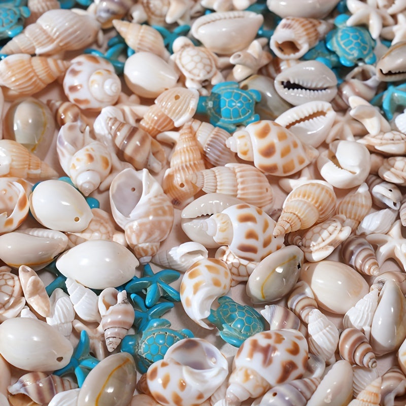 Set of 65 Natural Shell Charms for Jewelry Making Includes Shells Starfish Turtle and Hand-Drilled Holes