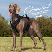 Регулируемый отражающий полиэстеровый ошейник для собак крупных пород с ручкой и D-образным кольцом