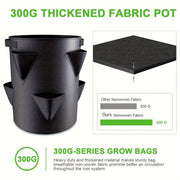 Set of 2 37.85L Strawberry Planting Bags with Window and Handle for Indoor Outdoor Gardening