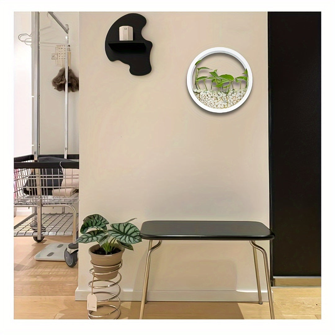 Modern Round Glass Wall Planters for Herbs Succulents and Cacti 1 or 2 Pack Indoor Balcony Patio Decor