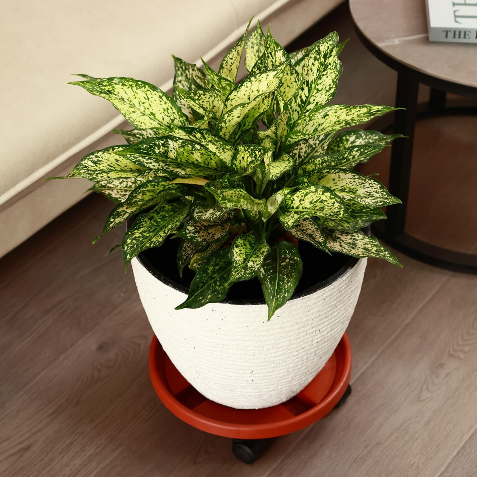 Round Plastic Flower Pot Tray with Wheels Indoor Outdoor Plant Stand Stable Easy to Move