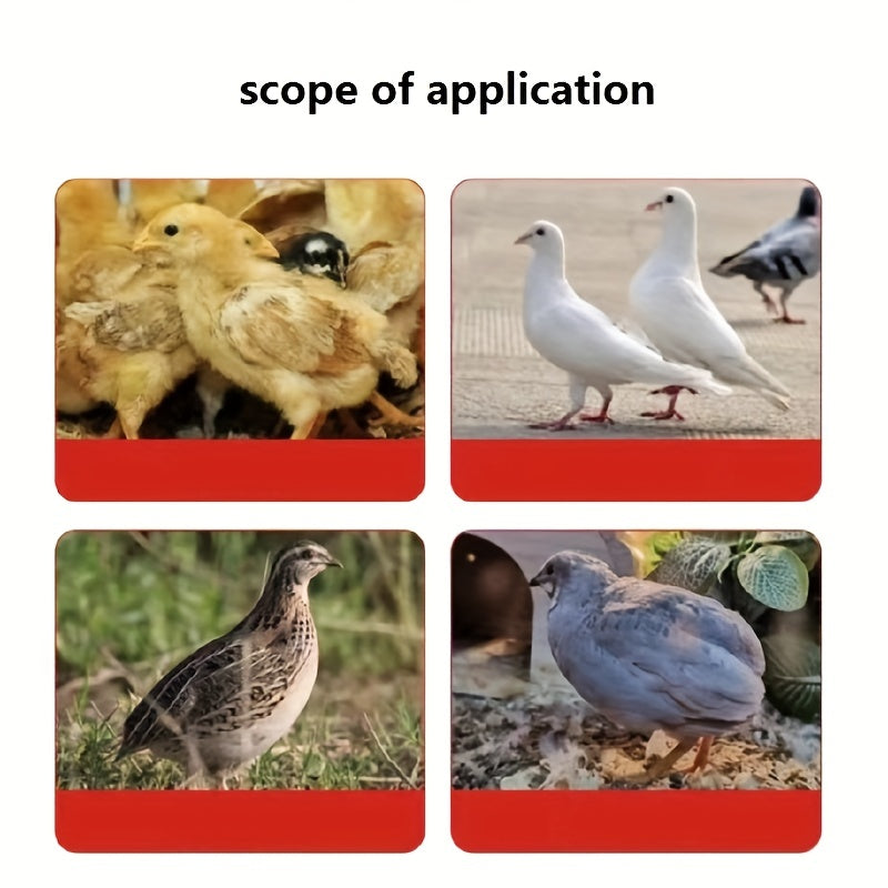 Otomatik parranda suv beruvchi qushlar uchun, tovuqlar, pichoq, quail, plastmassa, qizil va oq