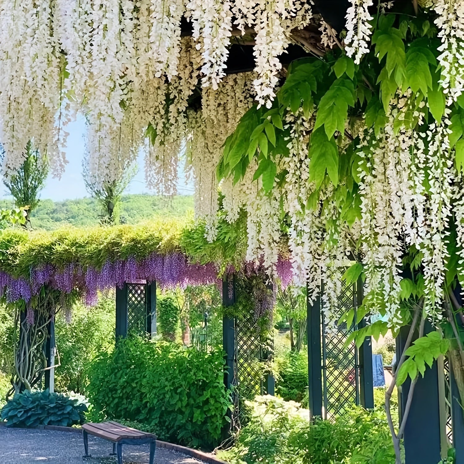 Sun'iy Wisteria garlandi 10 ta to'plam ichki tashqi bezak uchun plastmassa, to'ylar, takliflar