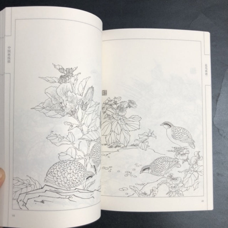 Chinese Flower and Bird Painting Manual with Line Drawings Art Book