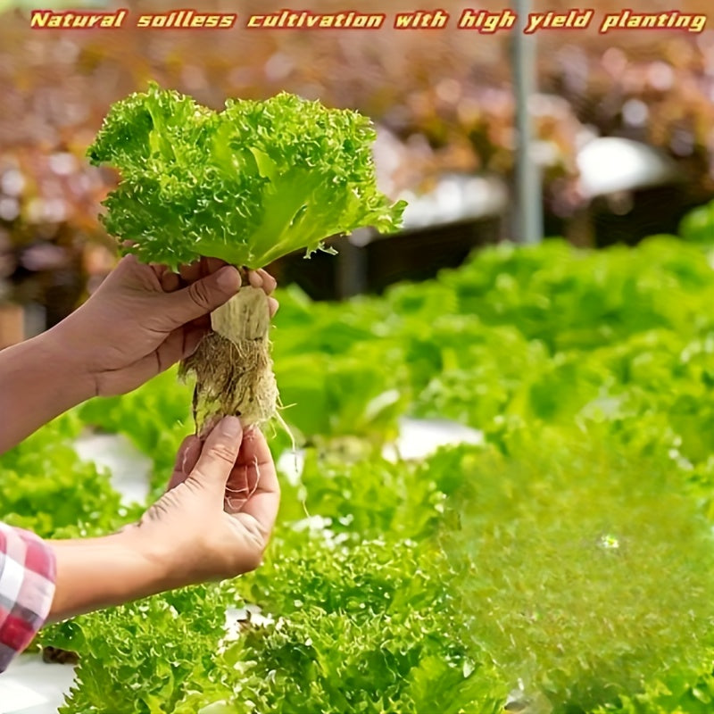 Mini Compressed Hydroponic Rock Cubes for Seed Germination and Plant Growth