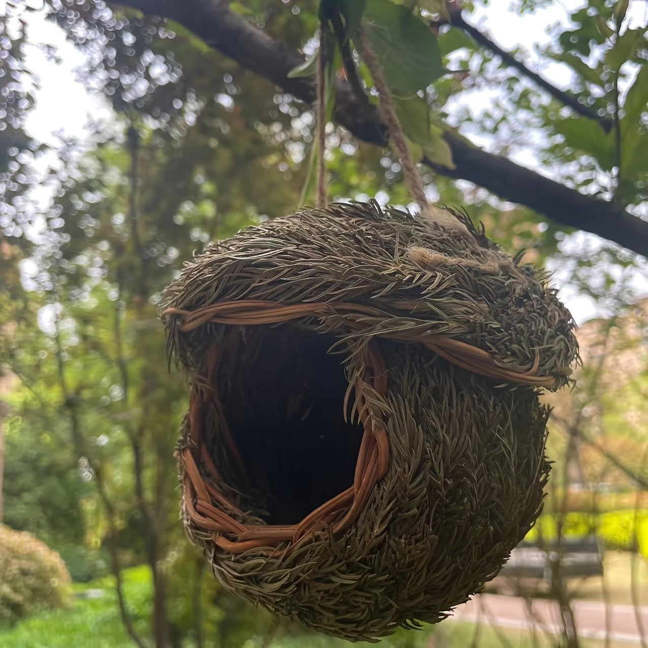 Handmade Grass Bird Nest Woven with Pine Needles for Small Birds and Pets Round Bird House